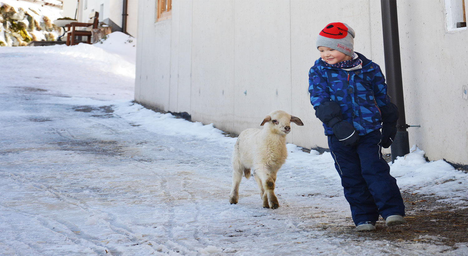 Kind und Schaf spielen